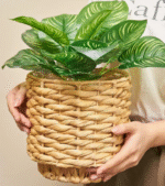 Water Hyacinth Planter Baskets - Image 3
