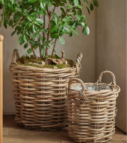 Eco-Friendly Wicker Planter Baskets